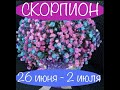 СКОРПИОН таро прогноз на неделю 26 июня   2 июля 2023