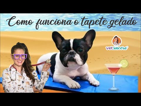 Vídeo: O Que é Um Tapete Refrescante Para Cães E Por Que Você Precisa Dele