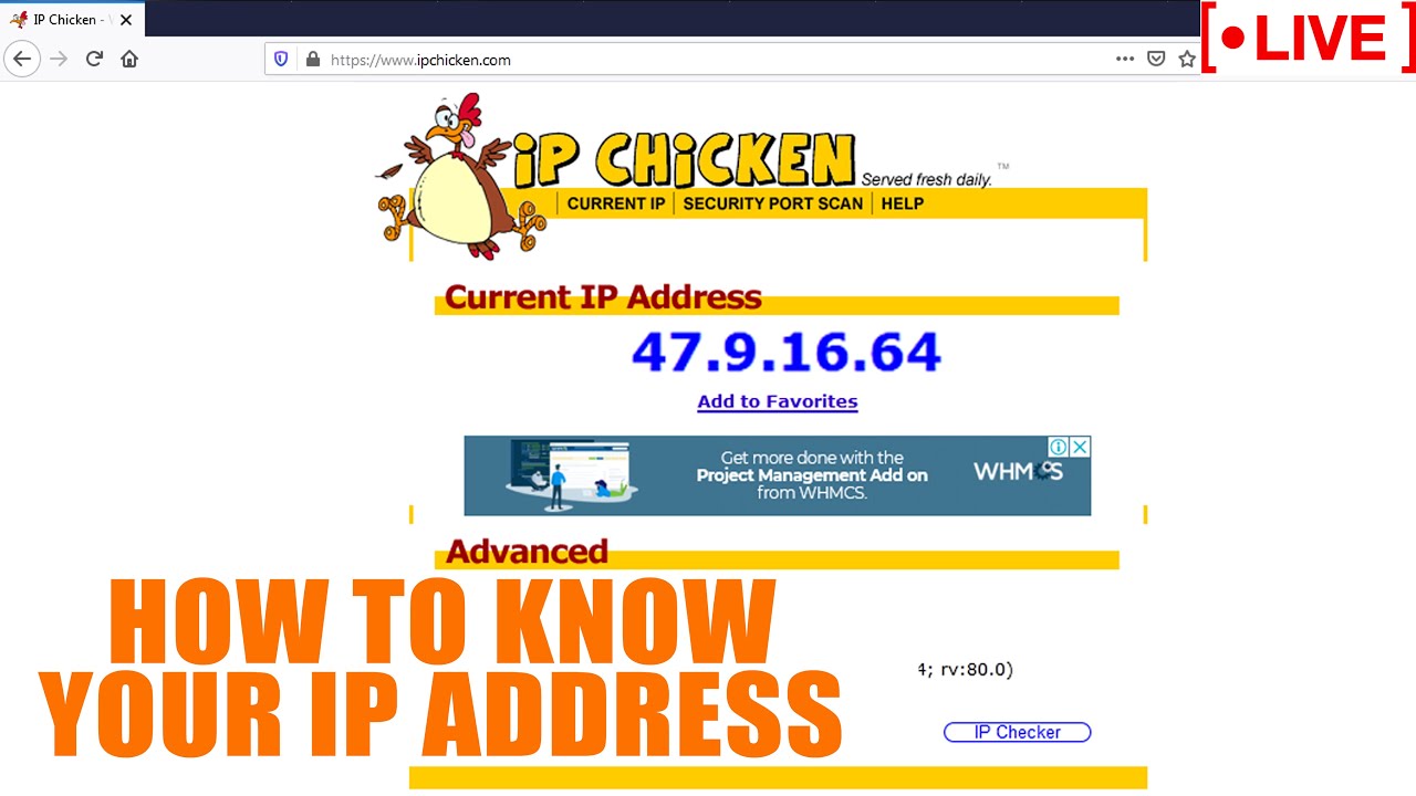 How to Find Your IP Address using IP Chicken Website