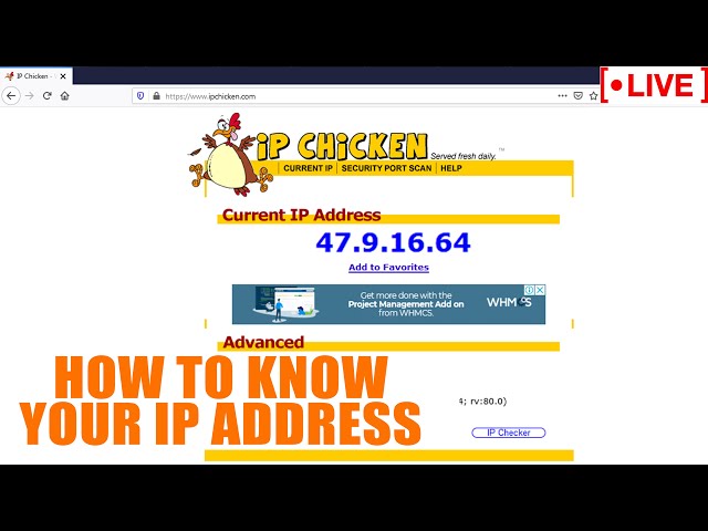 🔴LIVE] How to know my Local PC IP address? 