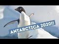 ULTIMATE cruise to Antarctica | CLOSE ENCOUNTERS with humpback whales!