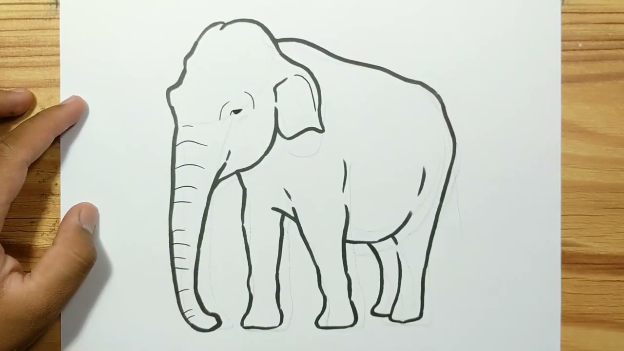 How to draw ASIAN ELEPHANT with easy - YouTube