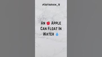 #FunFact_18 | An Apple a Day… Can Float in Water?! | #DidYouKnow #shorts