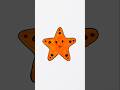 Cute Starfish Drawing ⭐ | Easy Drawing for Kids