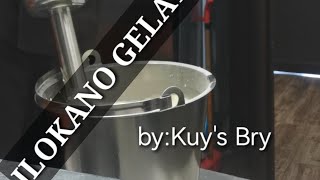 How Ilokano Vanilla Gelato Is Made Este Italian Gelato Pala