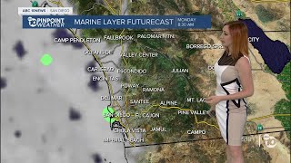 ABC 10News Pinpoint Weather with Meteorologist Leah Pezzetti