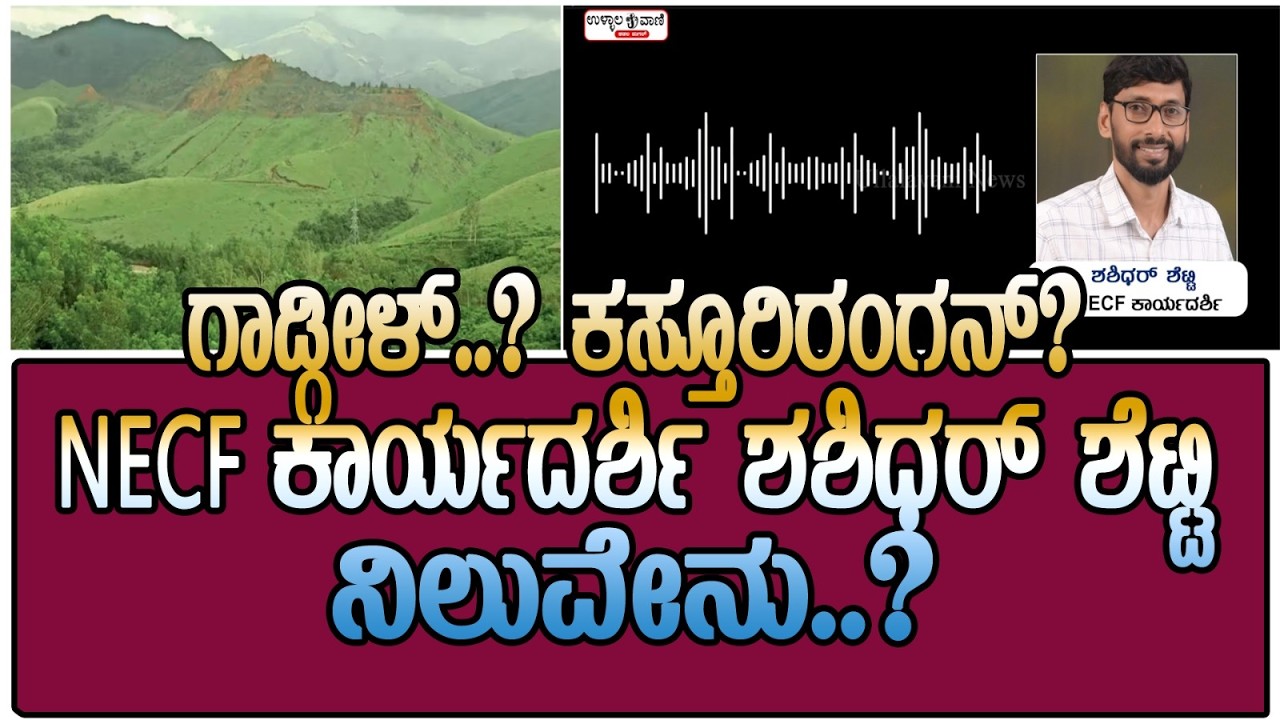 ಏನಿದು ಕಸ್ತೂರಿ ರಂಗನ್ ವರದಿ..? ಗಾಡ್ಗೀಳ್ ವರದಿ..?
