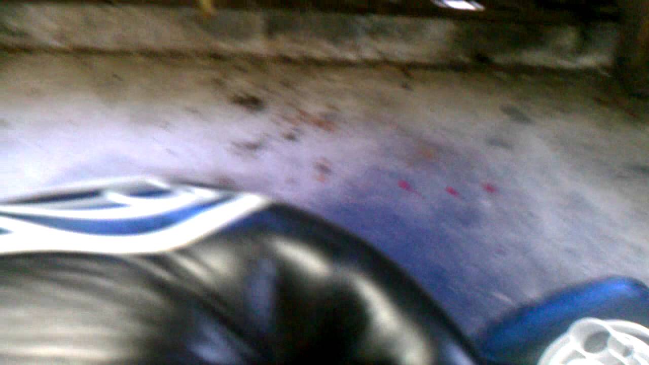 Review of Grant Bag gloves and Cleto Reyes safetec YouTube