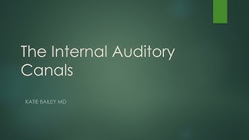 Imaging the Internal Auditory Canals