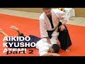 HANDABWEHR und -KONTROLLE  - Aikido, Atemi, Kyusho (Dimmak) Elemente Teil 2 mit Konstantin Rekk