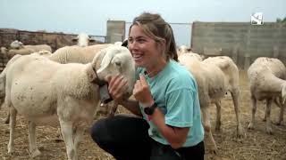 La ganadera Judit Ballarín y su relación con su oveja Paloma by Grupo Pastores 4,049 views 2 years ago 1 minute, 6 seconds
