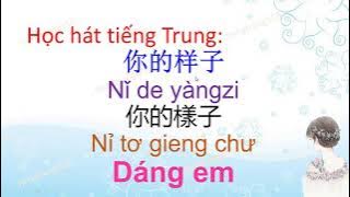 Learn to sing Chinese || Your Shape 你的样子 Ni de yang zi