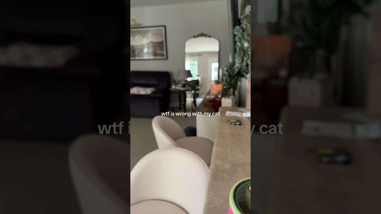 “You saw nothing”