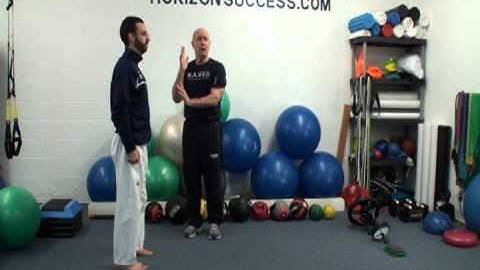 2011 Core Stability 1    Saggital Plane   Stability