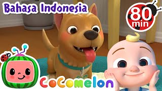 Bingo | CoComelon Bahasa Indonesia - Lagu Anak Anak