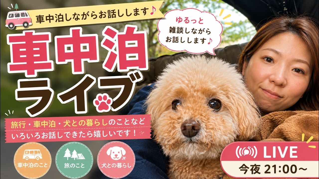 【犬との暮らし】車中泊しながら、ゆるっと雑談ライブ