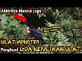 MERINDING! PENANGKAPAN RAJA ULAT PALING BERBAHAYA! PENGHUNI GOA RATUSAN TAHUN! #ulat