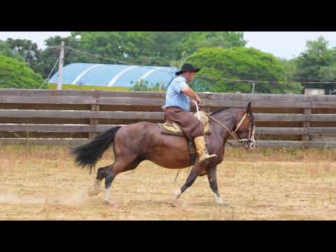 Lote 12   Entonada da Don Padre