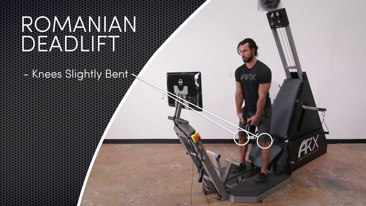 ARX Omni - Romanian Deadlift Tutorial golftec denver