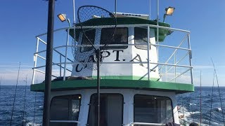 Fishing on The LEGENDARY Captain Al for JUMBO Porgies and Sea Bass