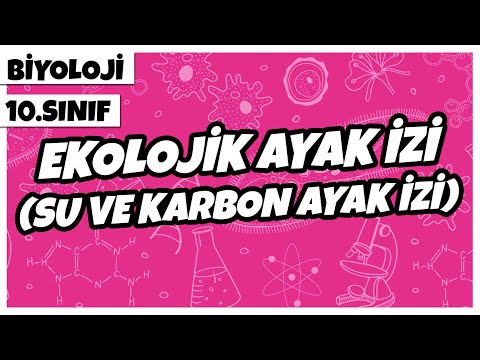 10. Sınıf Biyoloji - Ekolojik Ayak İzi (Su ve Karbon Ayak İzi)