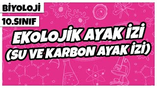 10. Sınıf Biyoloji - Ekolojik Ayak İzi Su Ve Karbon Ayak İzi