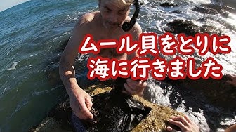 ムール貝 Youtube