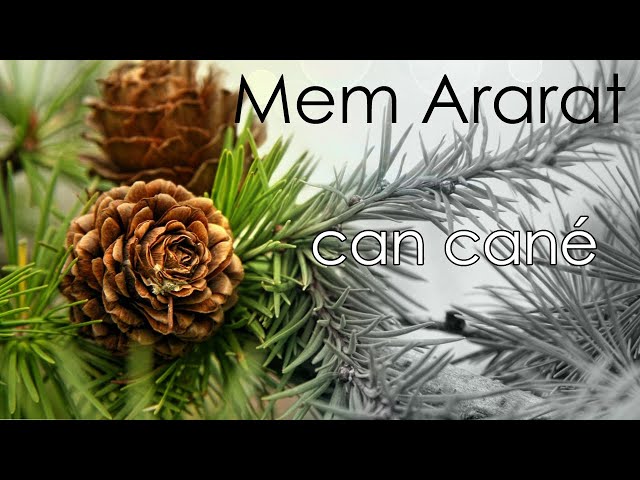 Mem ARARAT - Can Canê