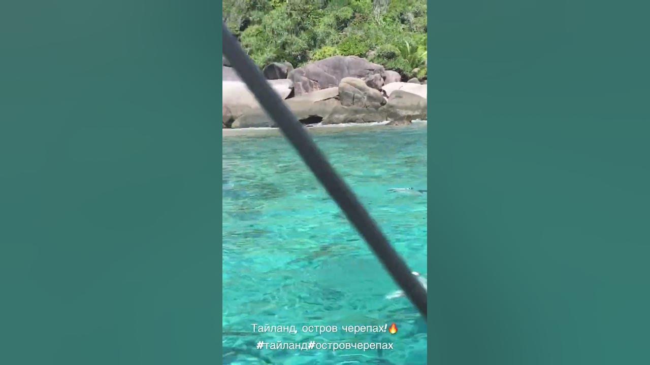 Самуи Таиланд черепахи