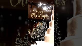 Merry Christmas 2022may Your Christmas Blessed With Happiness And Smiles