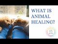 What is pet healing?