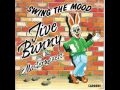 Jive Bunny Swing the mood
