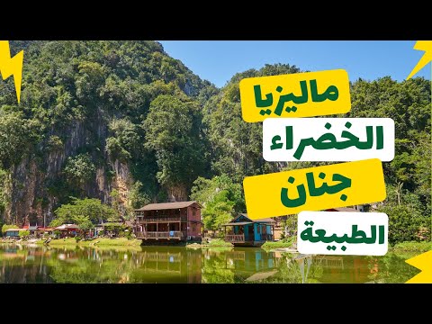 فيديو: المتنزهات الوطنية والمحميات الطبيعية في ماليزيا