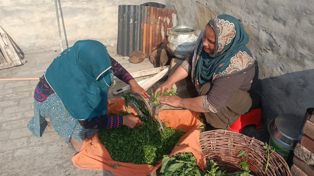 ਅੱਜ ਅਸੀਂ ਬਣਾਇਆ ਸਰੋਂ ਦਾ ਸਾਗ ਤੇ ਮੱਕੀ ਦੀ ਰੋਟੀਆਂ #behla family#