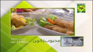 Masala TV Live Streaming   Live Cooking shows   Pakistani recipes online