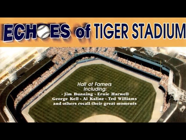 Tiger Stadium Today 