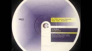 Roni Size - Snapshot (1999)