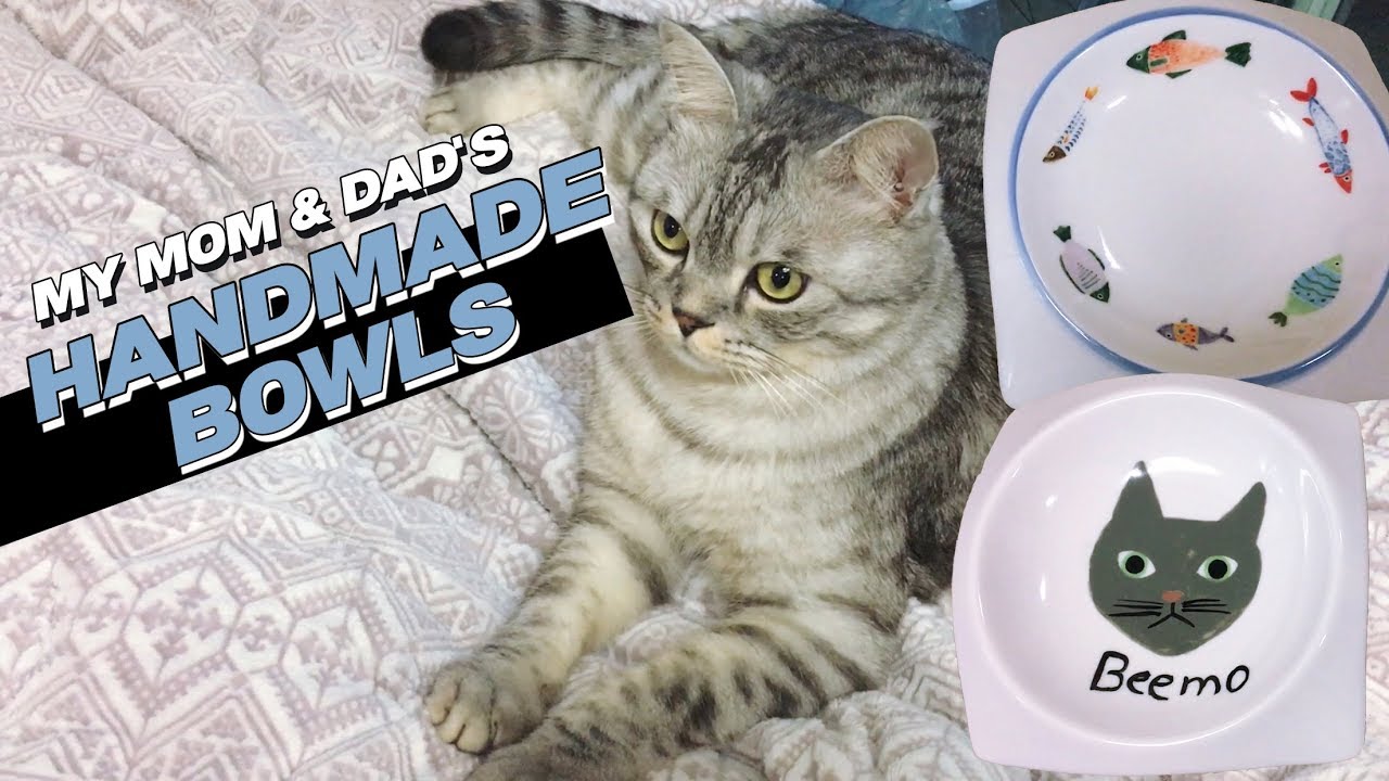Which One Will Our Cat Pick? | Handmade Cat Food Bowls
