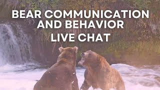 Bear Communication and Behavior | Brooks Live Chat