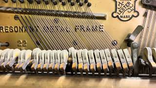 Hear Piano Note C2 Lester Upright Grand July 24, 2024 Update