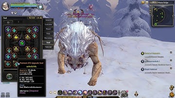 Dragon Nest Crusader V.3 : Equipment