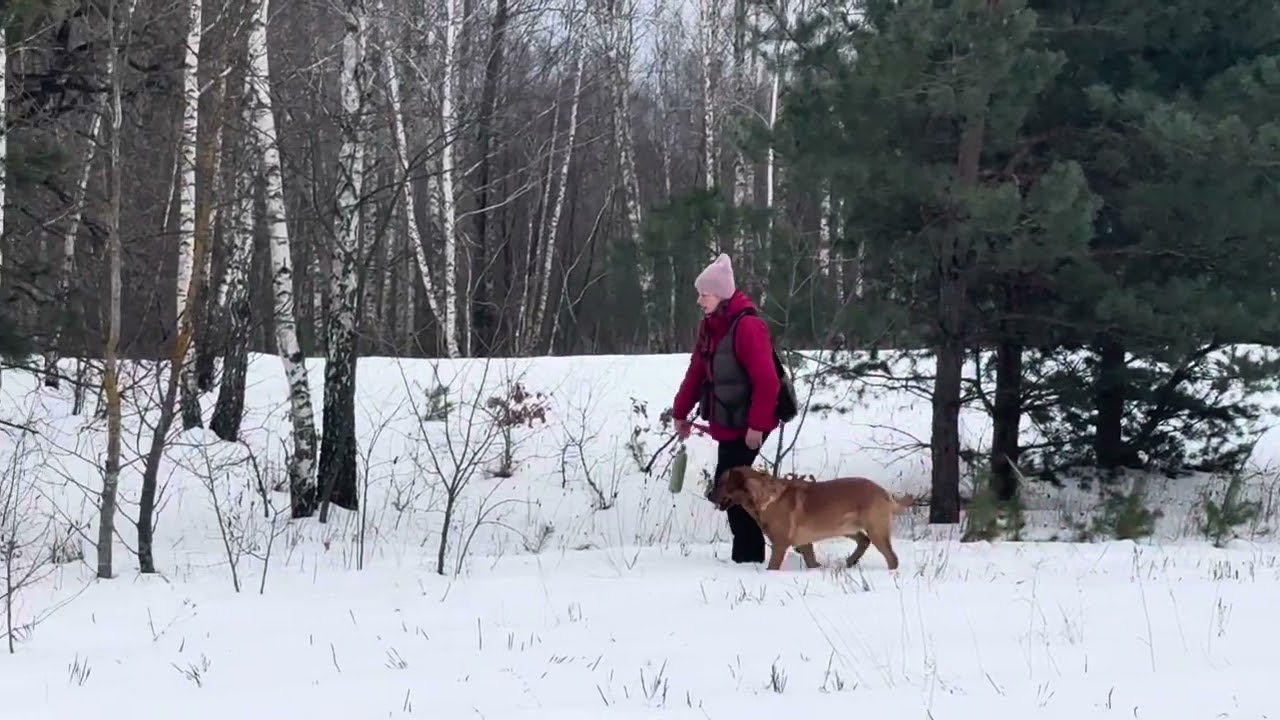 12 февраля 2026 г.