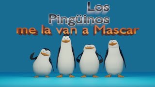 Chicken Gun los pingüinos me la van a mascar #lospingüinosmelavanamascar #chickengun