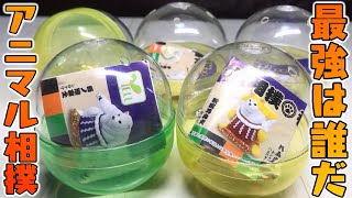 【ガチャガチャ】最強は誰だ！？ハムスターも参戦！横綱でかすぎ！そしてまさかの行司がカエル！あにまる相撲番付 全5種開封レビュー【ねこだまし】可愛い！