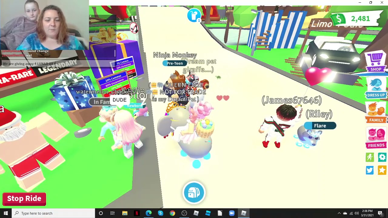 GABS & CritterMama make 4th NEON SNOW OWL for MEGA & gives away 4 FREE LUNAR OXES!!