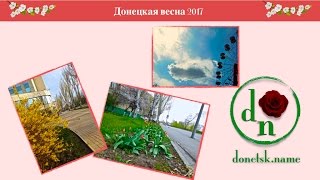 Донецкая весна 2017