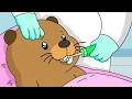 Higo Helps a Beaver Repair a Chipped Tooth | Relaxing ASMR Animation | Life in Shirakawa