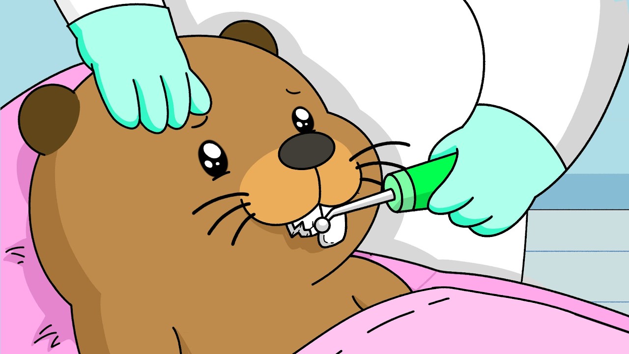 Higo Helps a Beaver Repair a Chipped Tooth | Relaxing ASMR Animation | Life in Shirakawa