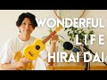 Wonderful Life - Hirai Dai 【Covered using a 20 dollar Ukulele】 English &amp; Romaji Subtitles