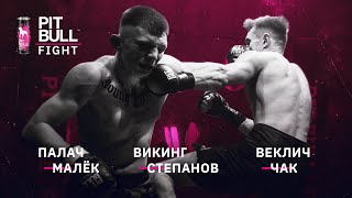 Палач - Мальок, Степанов - Вікінг, Веклич - Чак | Pit Bull Fight міжсезоння